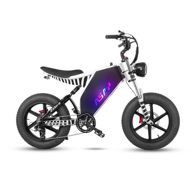 ASAP Zebra 1000W Electric Bike